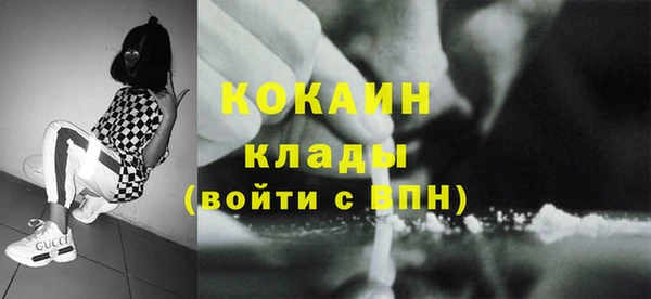 соль ск Алзамай